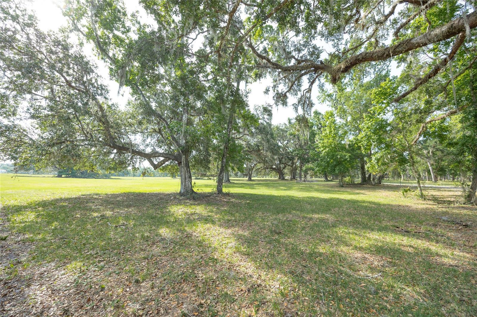 Tbd Cr 772b Property Photo 27