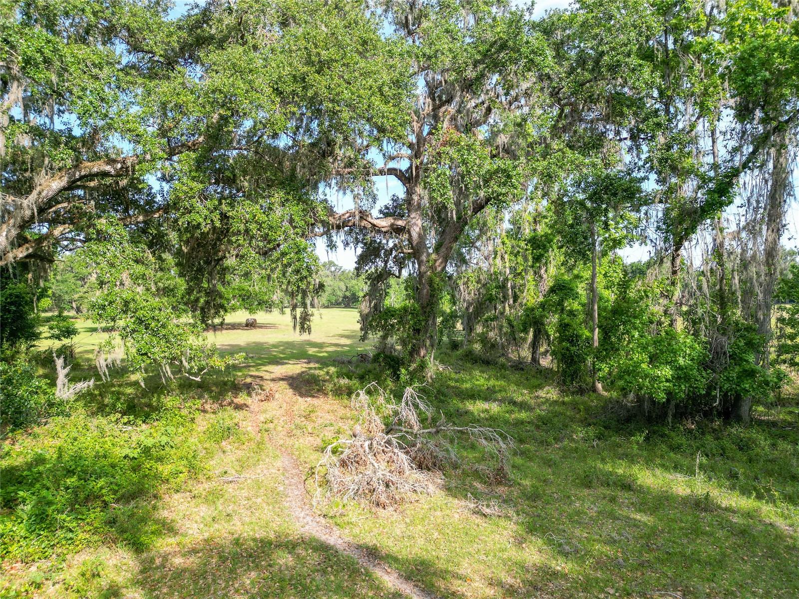 Tbd Cr 772b Property Photo 29