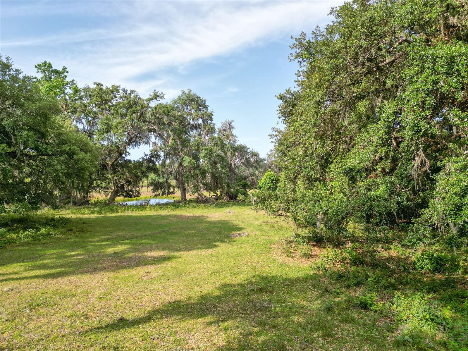 Tbd Cr 772b Property Photo 30