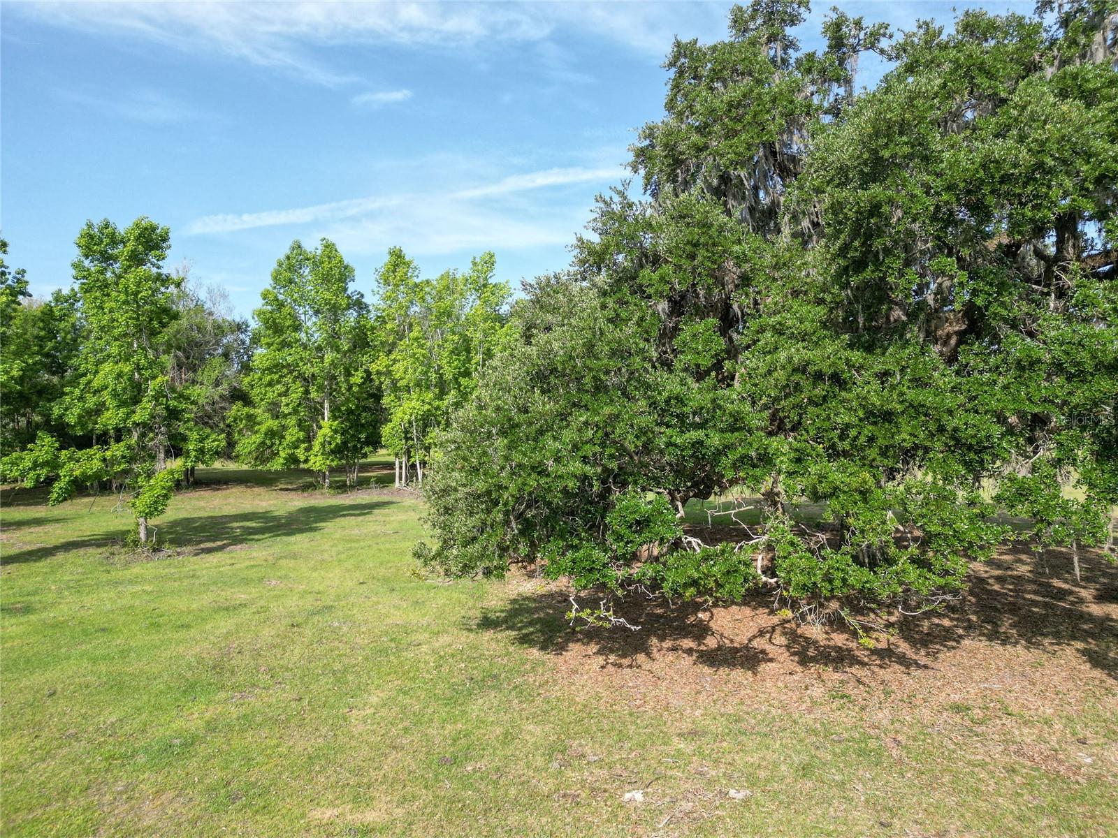 Tbd Cr 772b Property Photo 32
