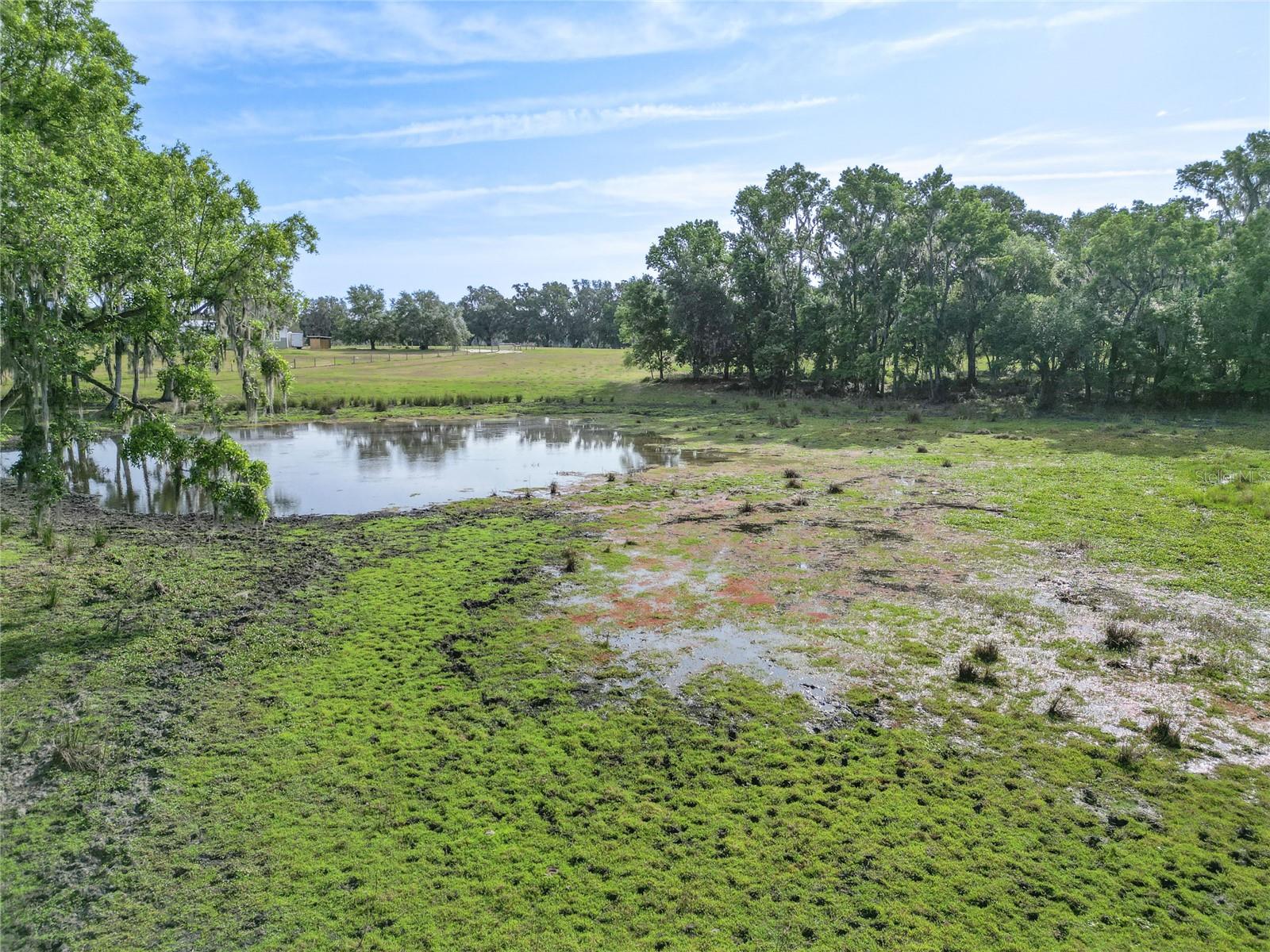 Tbd Cr 772b Property Photo 35