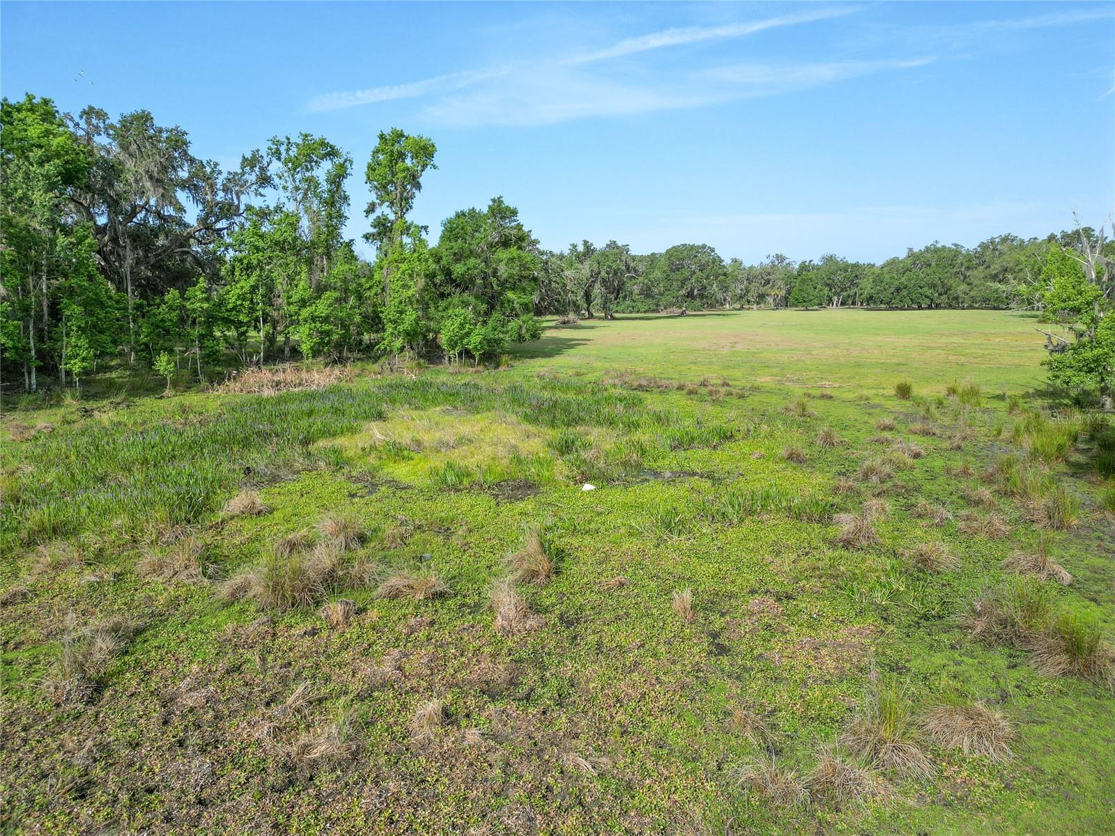 Tbd Cr 772b Property Photo 36