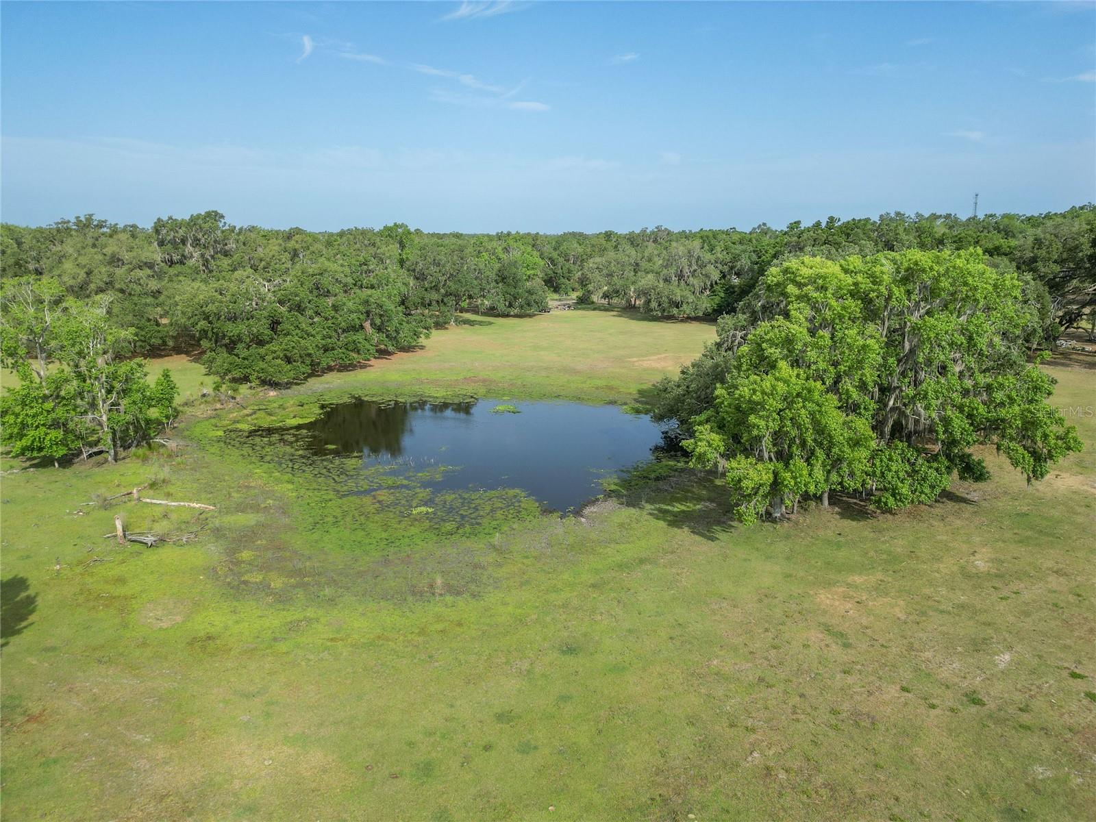 Tbd Cr 772b Property Photo 37