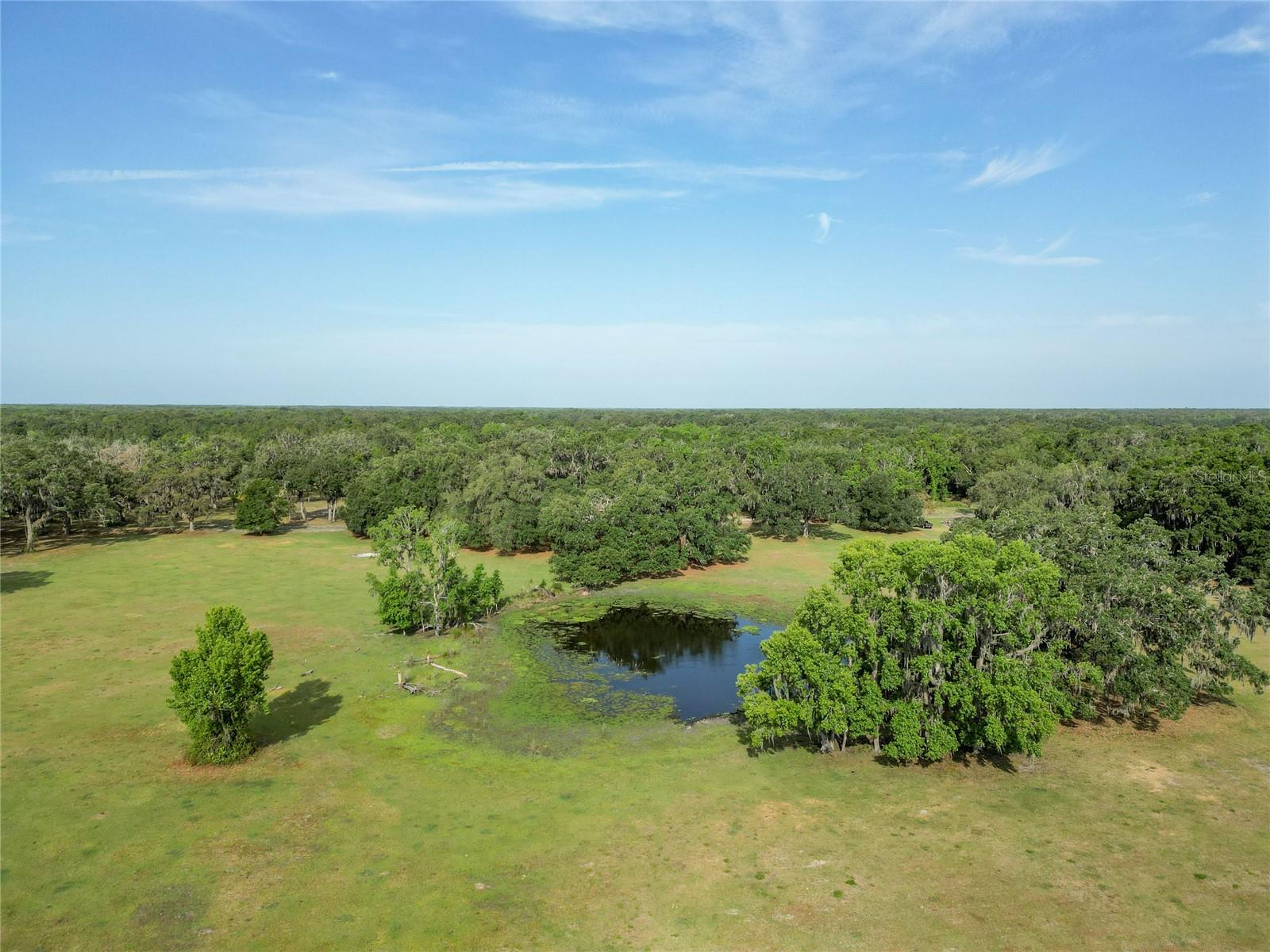 Tbd Cr 772b Property Photo 43