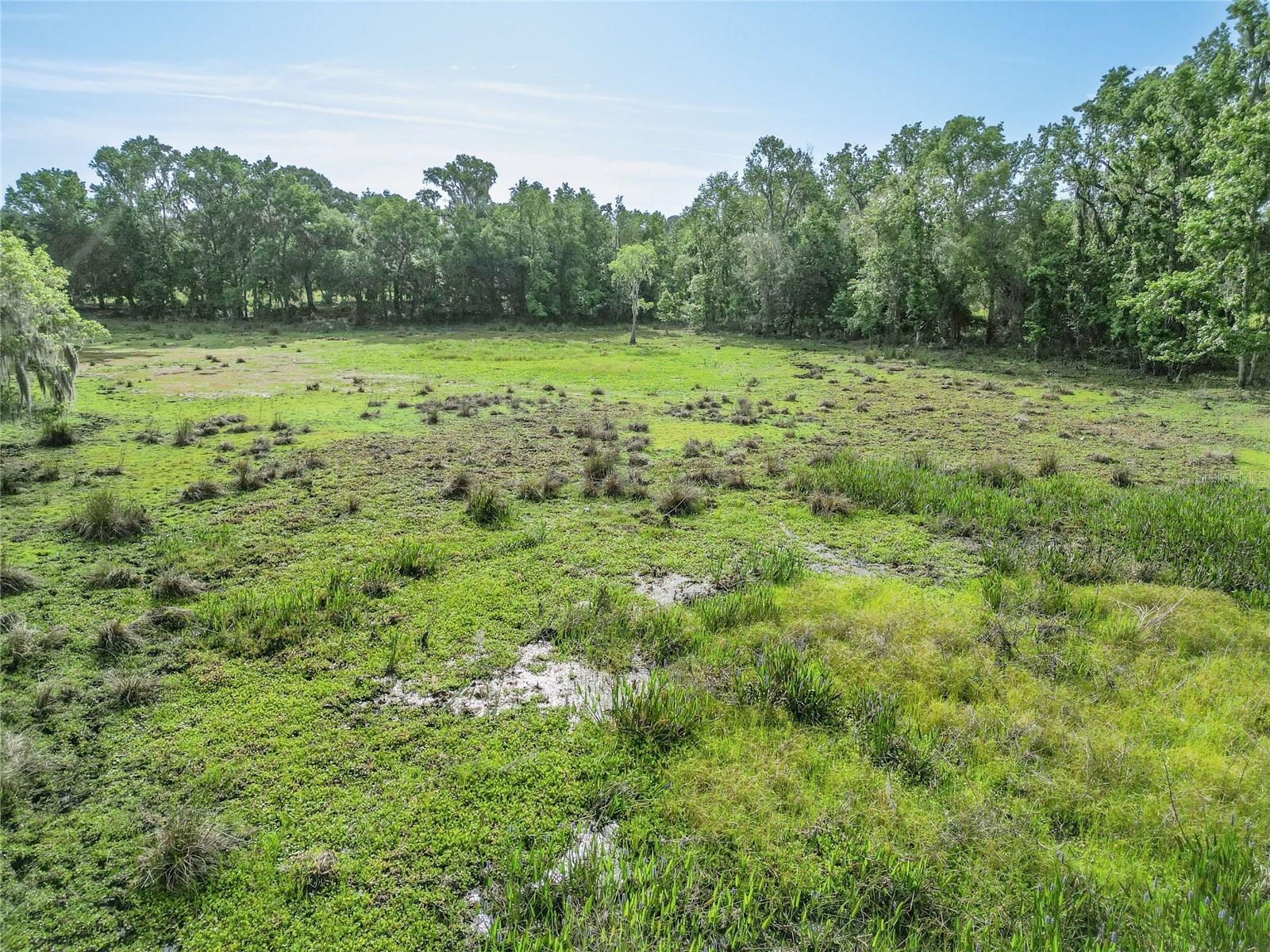 Tbd Cr 772b Property Photo 44