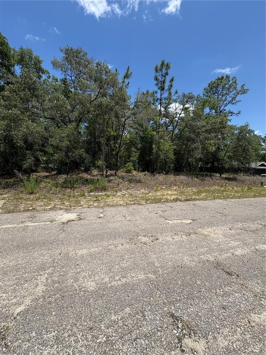 10965 N Mataro Ave Property Photo 3