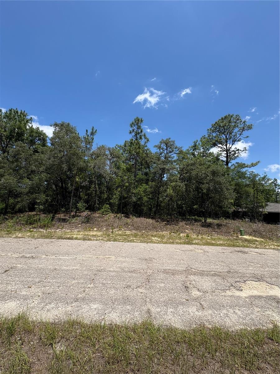 10965 N Mataro Ave Property Photo 4