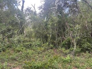 Karagan Ct Property Photo 2