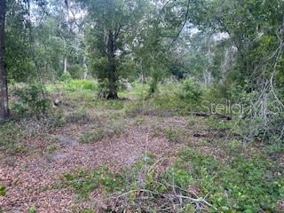 Karagan Ct Property Photo 6