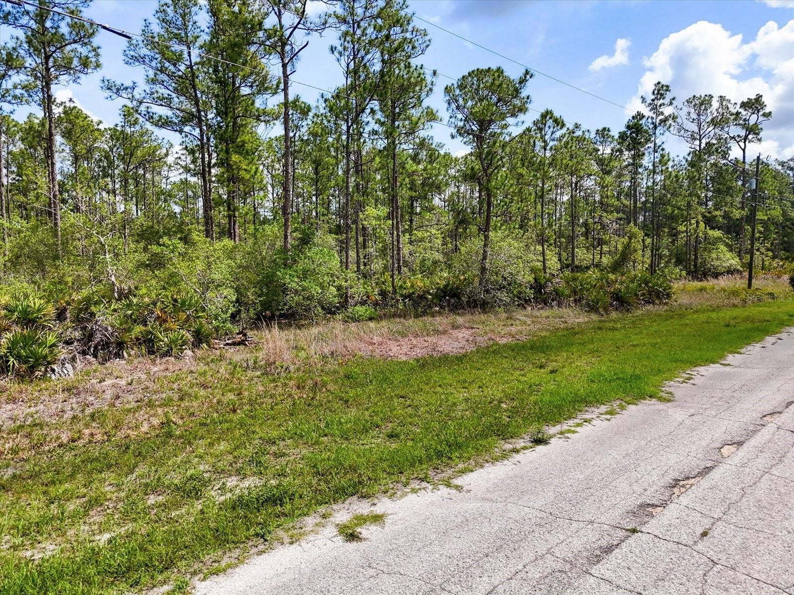 LOT 61 MEADOW LARK BLVD Property Photo 1
