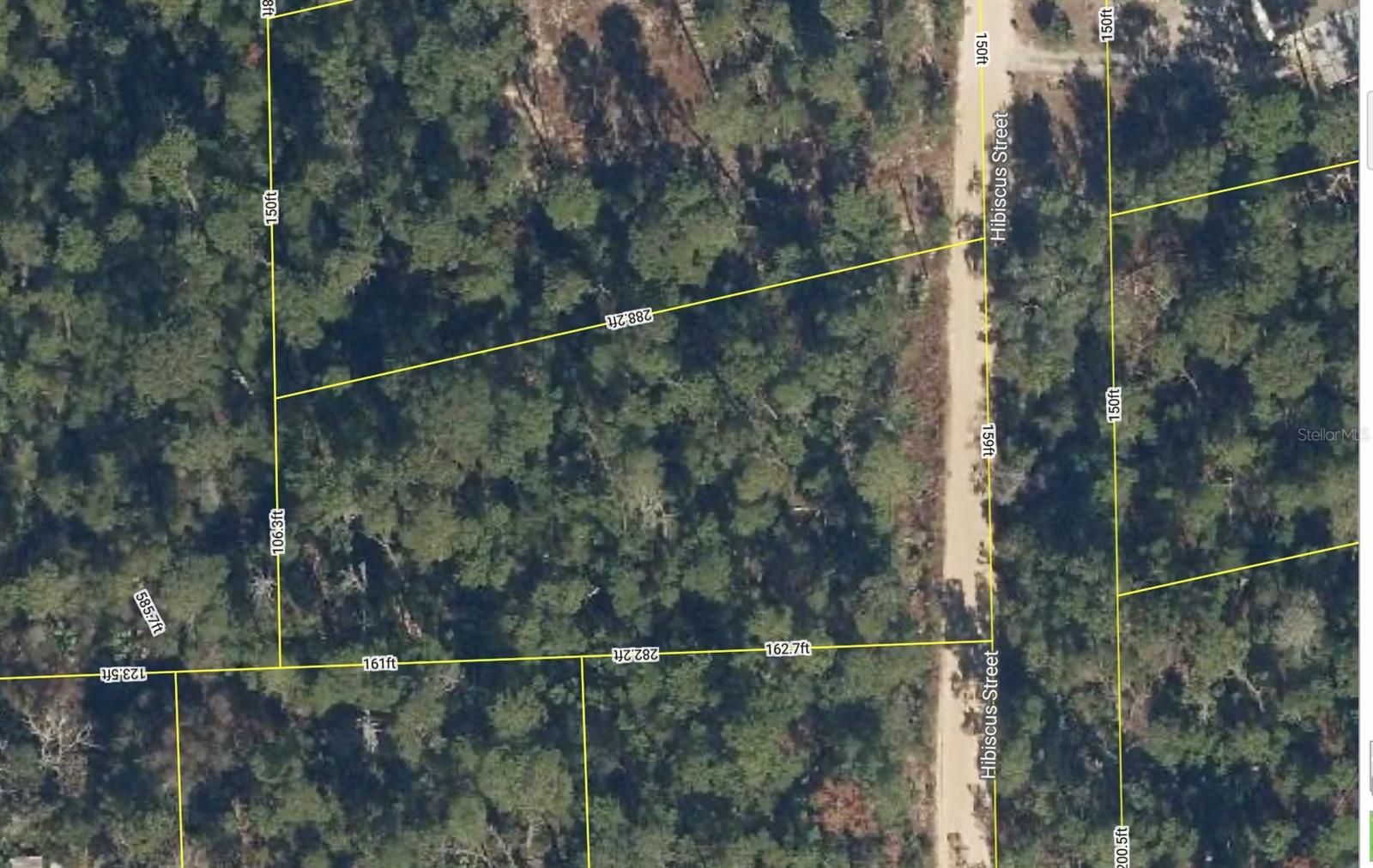 107 Hibiscus St Property Photo 1