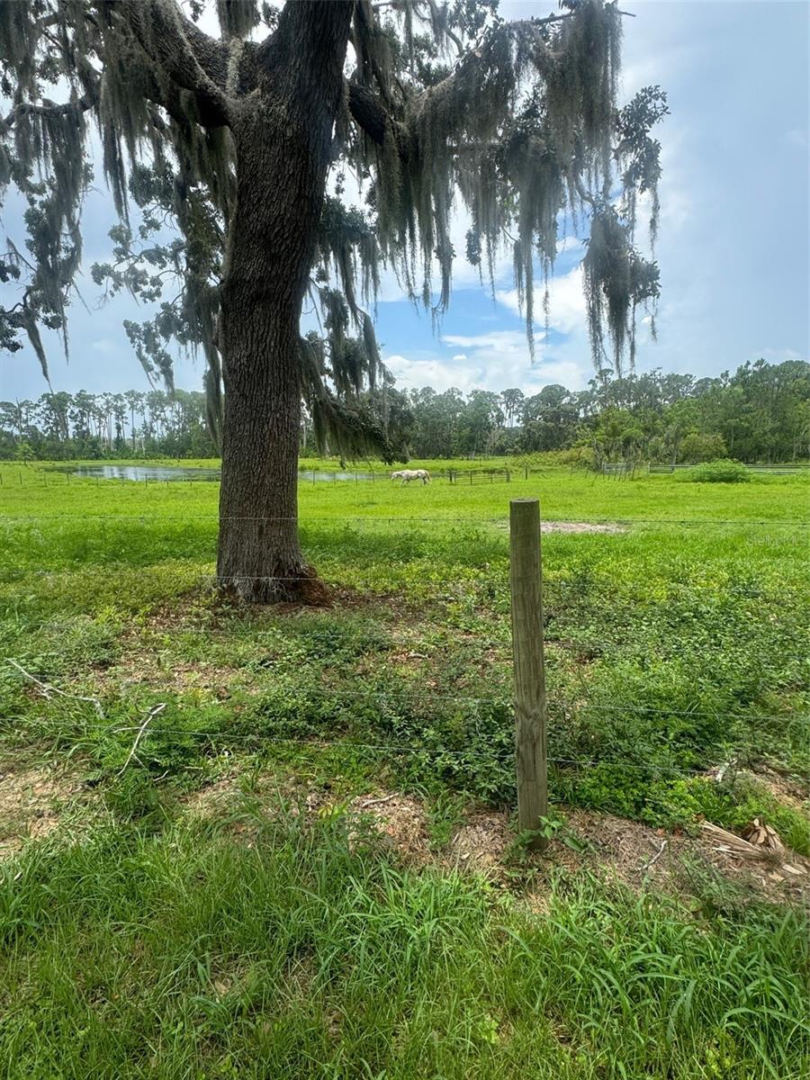 11522 Dead River Rd Property Photo 14