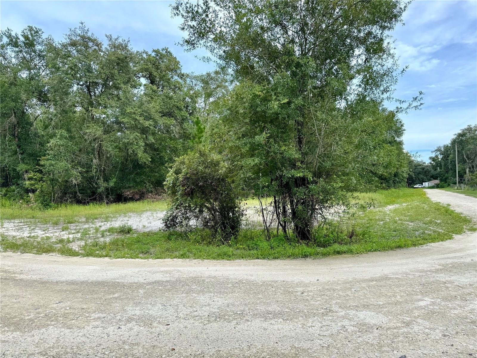 Rose Bloom Ave Property Photo 1