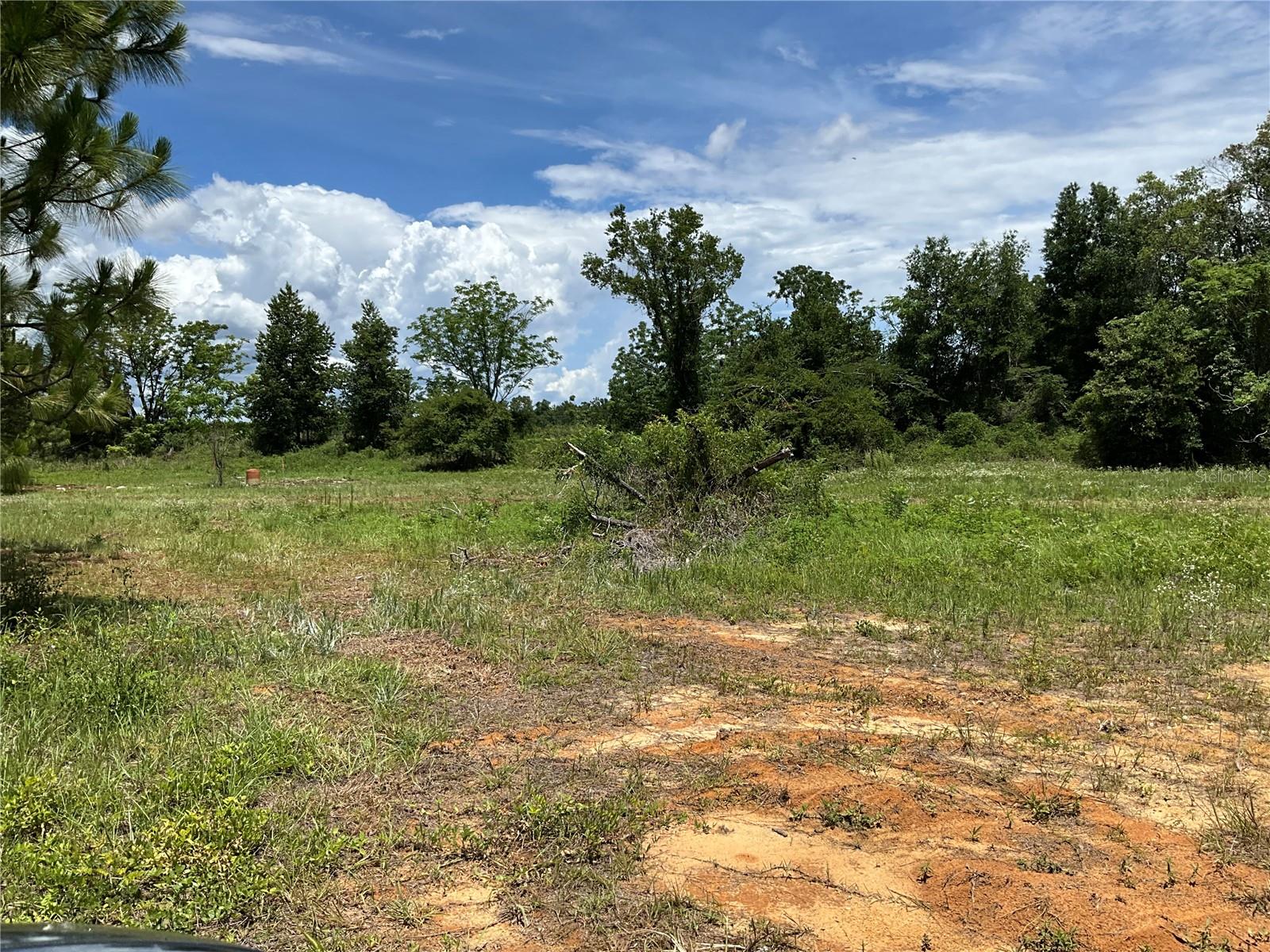 101 Hickory Ln Property Photo 3