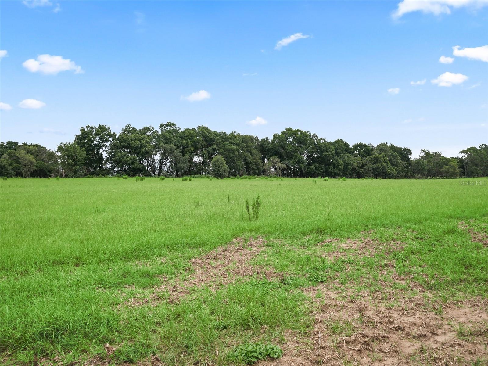 8567 Cr 635 Property Photo 39
