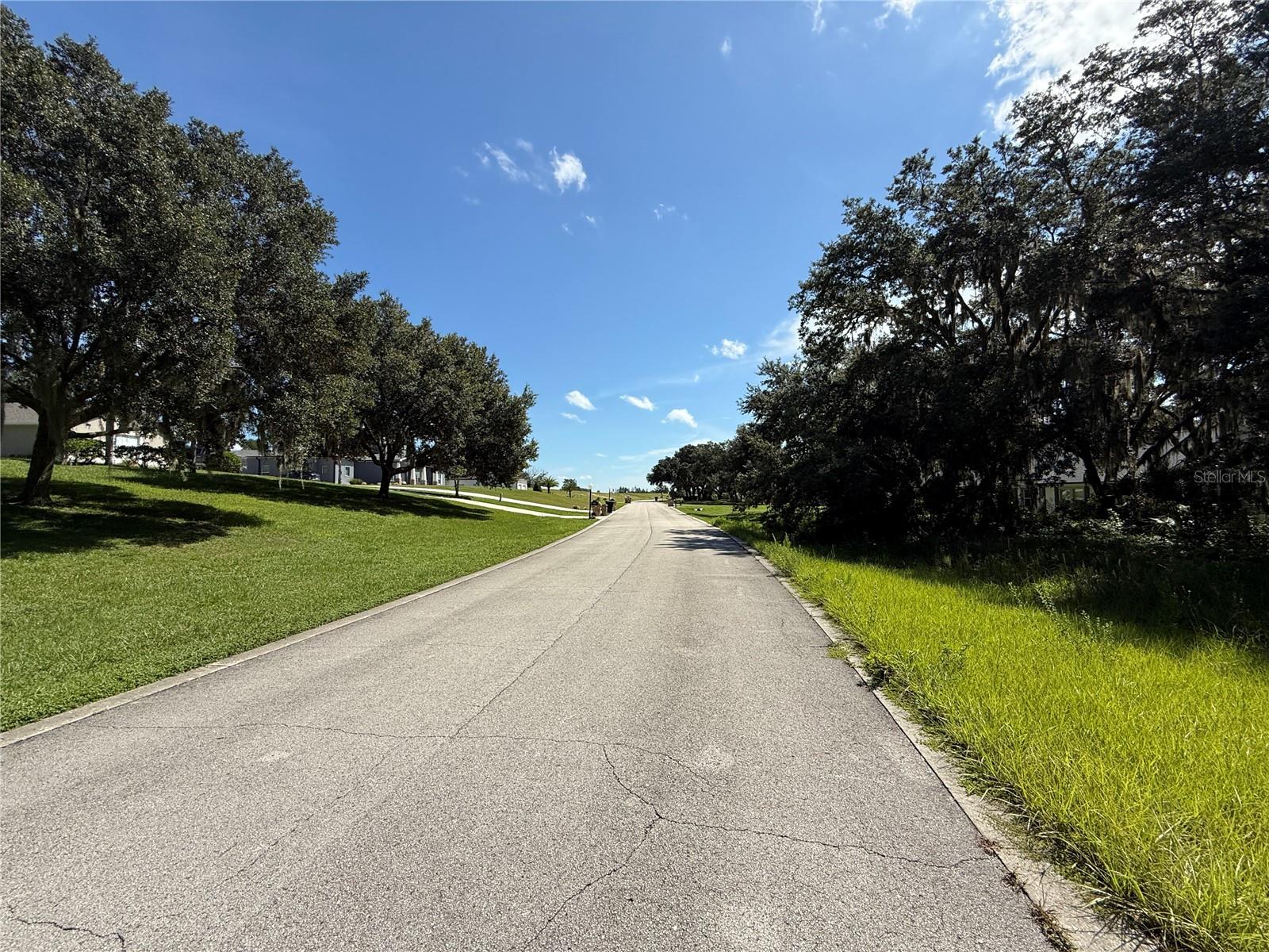 Lot 98 Bear Den Dr Property Photo 4