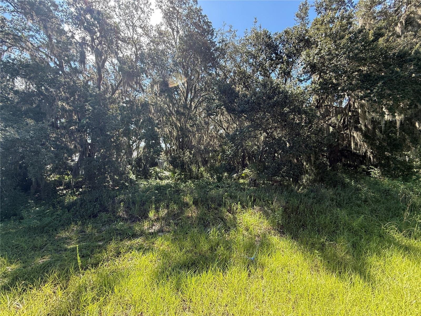 Lot 98 Bear Den Dr Property Photo 5