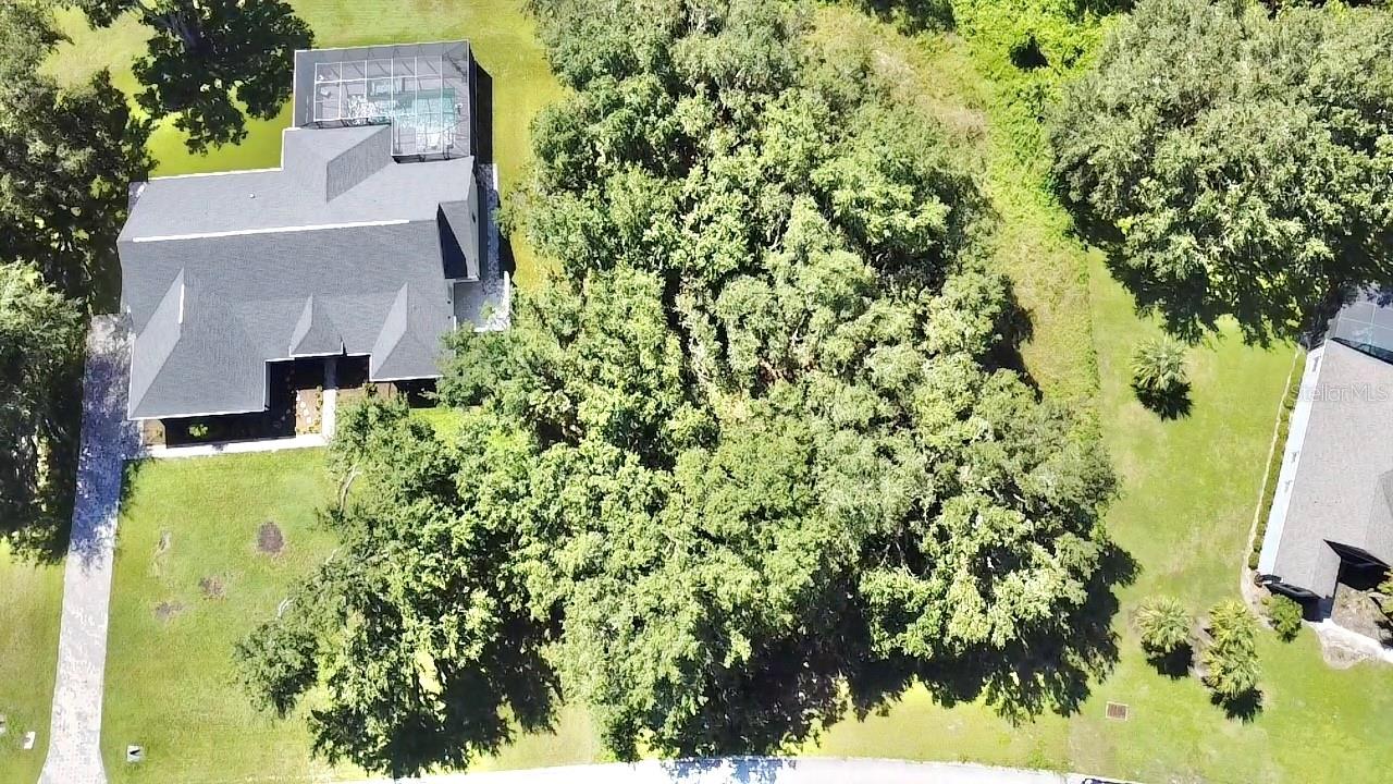Lot 98 Bear Den Dr Property Photo 6