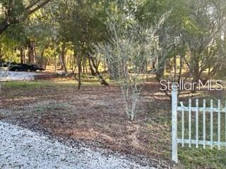 1501 Pearl St Property Photo 5