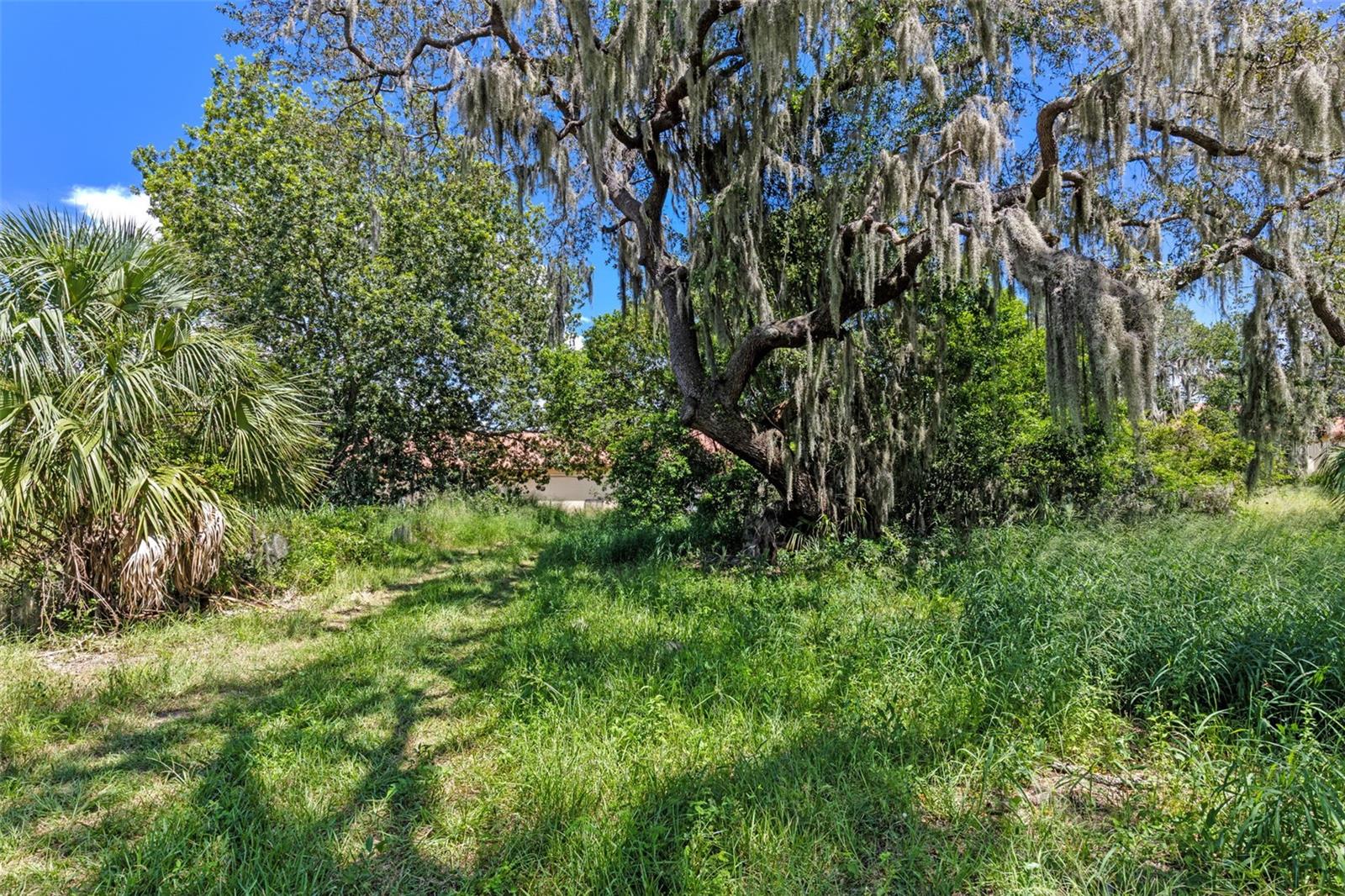 8th St Property Photo 11