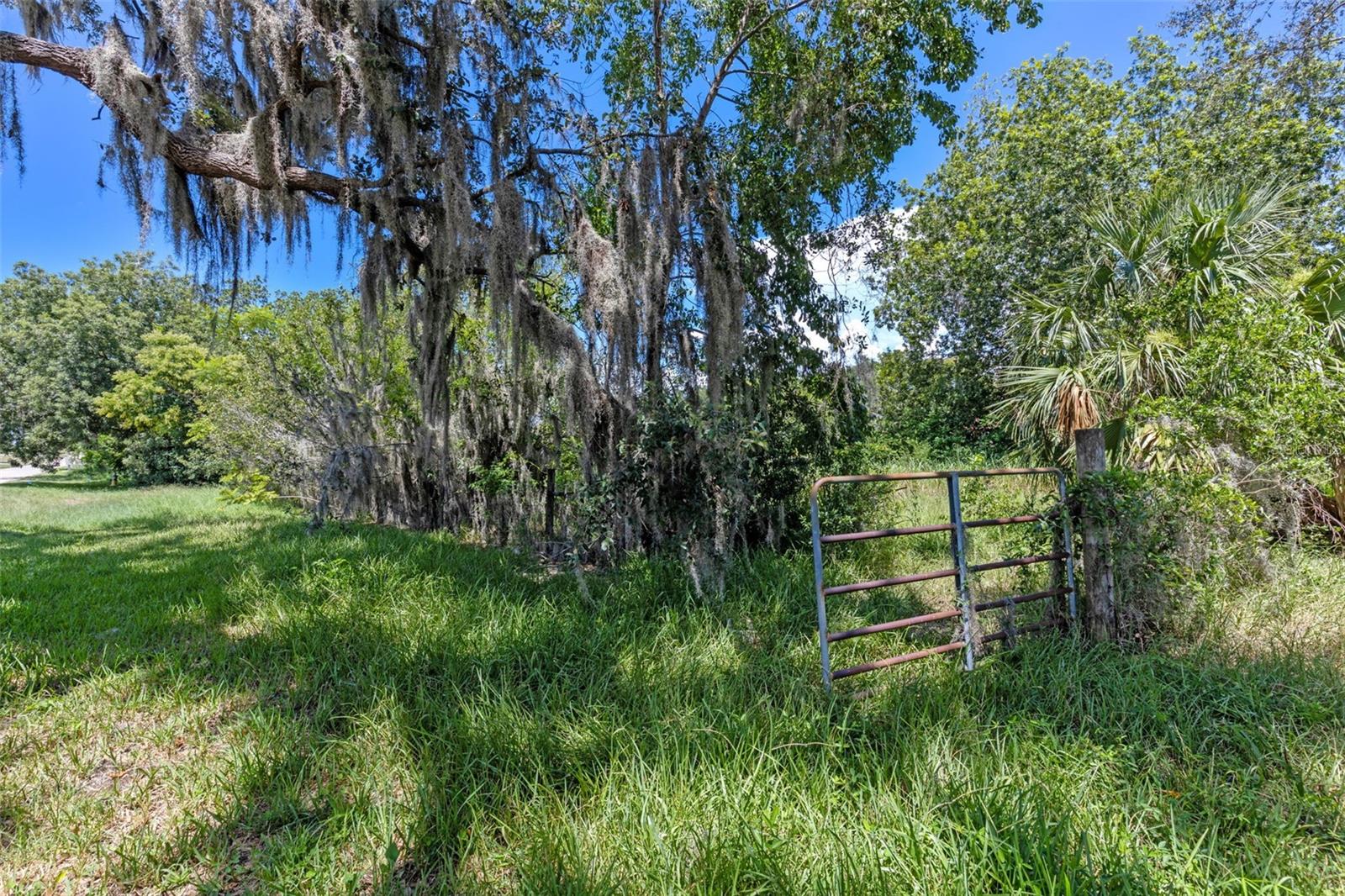 8th St Property Photo 12