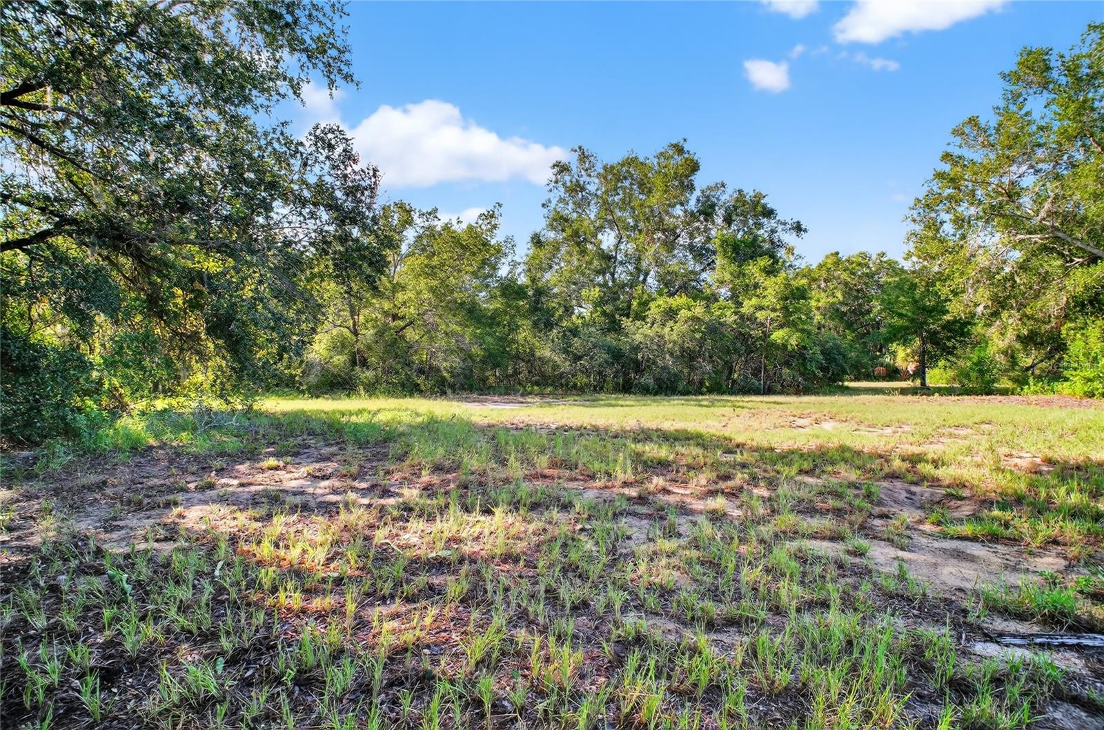 42012 State Road 19 Property Photo 8