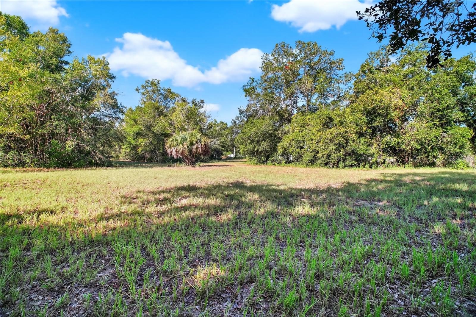 42012 State Road 19 Property Photo 9