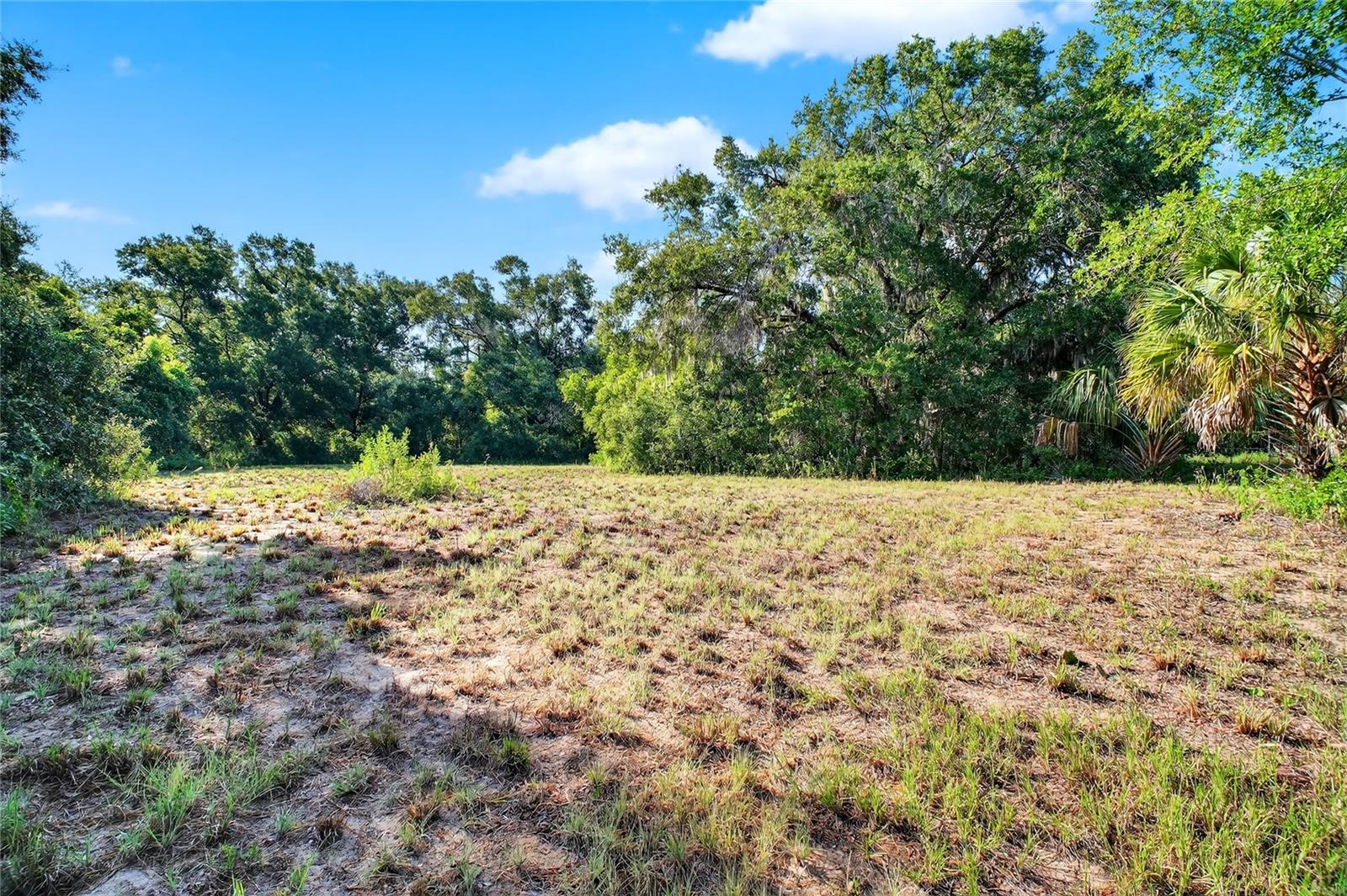 42012 State Road 19 Property Photo 12