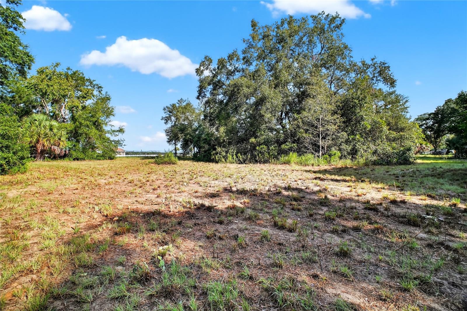 42012 State Road 19 Property Photo 13