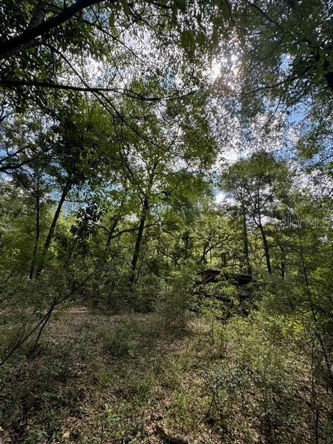 Sw Coles Ct Property Photo 12