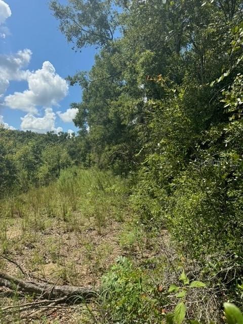 Sw Coles Ct Property Photo 18