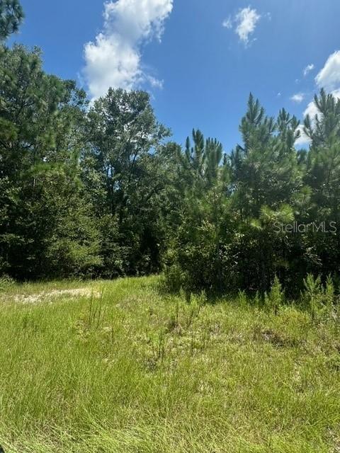 Sw Coles Ct Property Photo 22