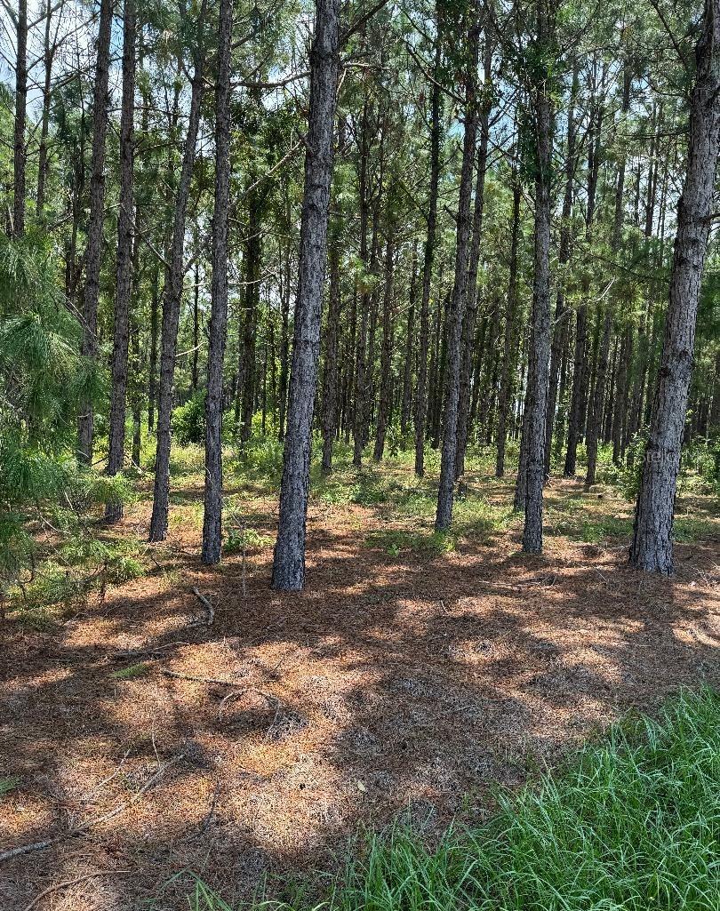 Cr 227 Rd Property Photo 2