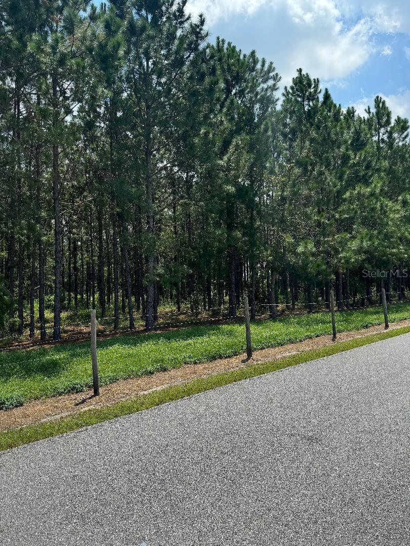 Cr 227 Rd Property Photo 3