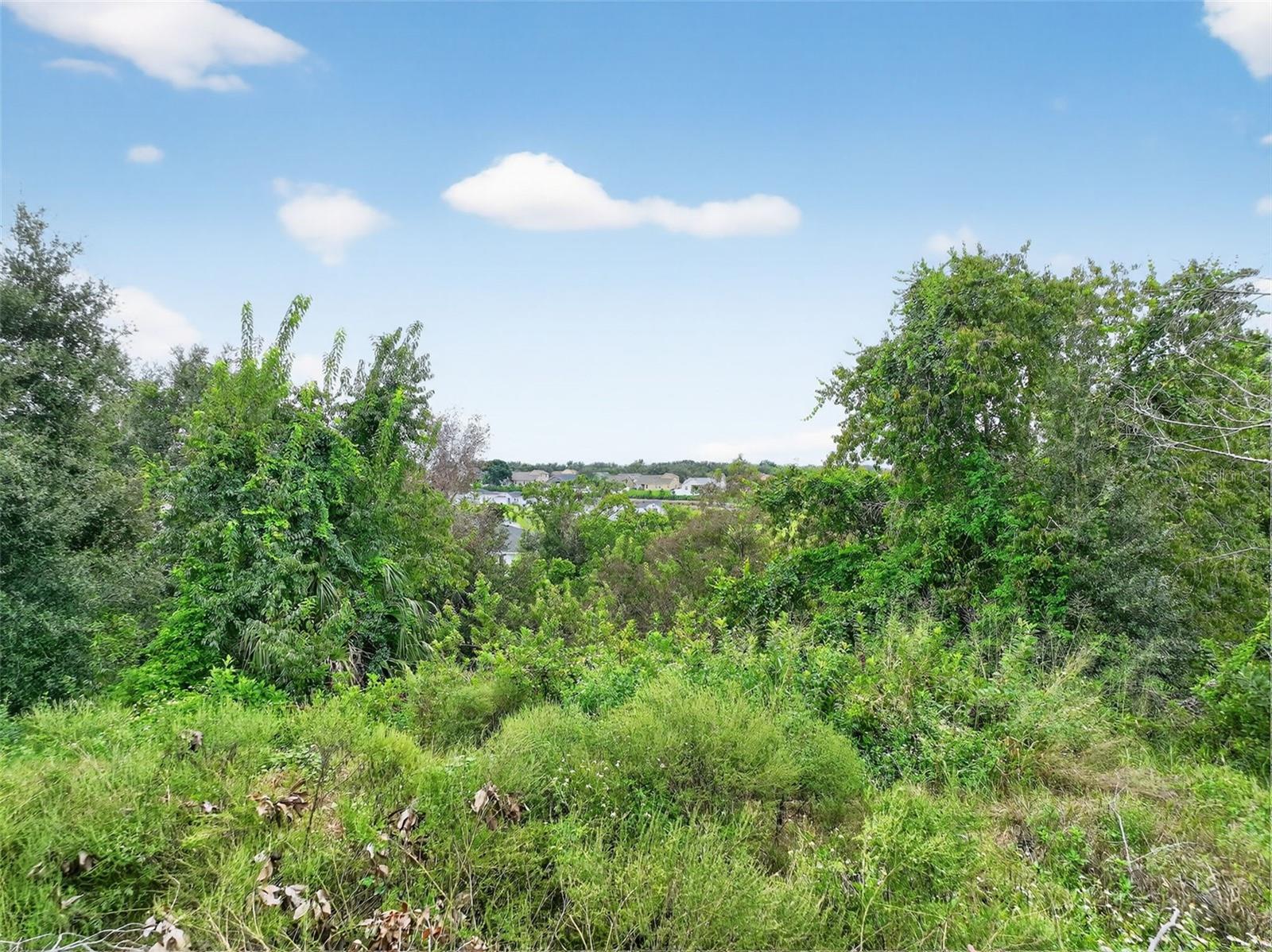 Tbd Kanuba Ct Property Photo 11