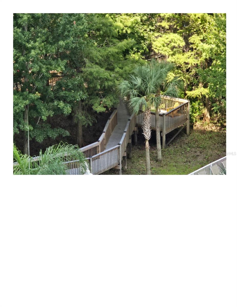 13415 Blue Heron Beach Dr #407 Property Photo 45