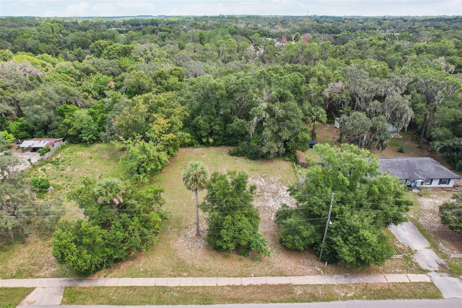 847 Palmetto St Property Photo 6