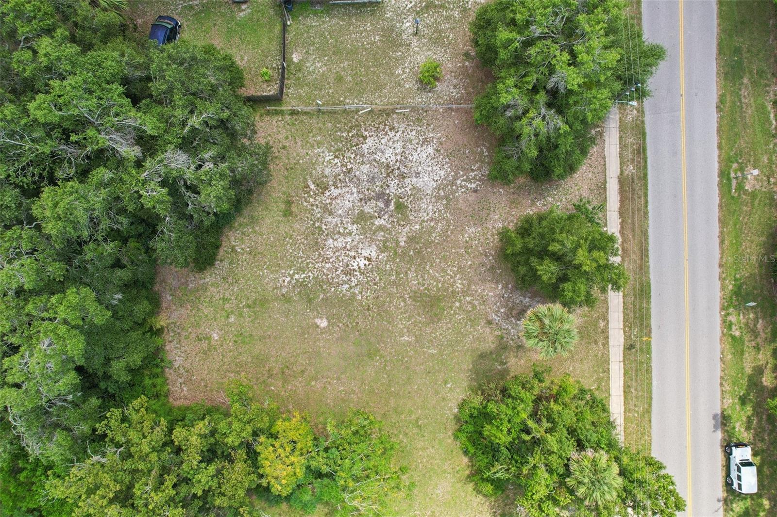 847 Palmetto St Property Photo 8