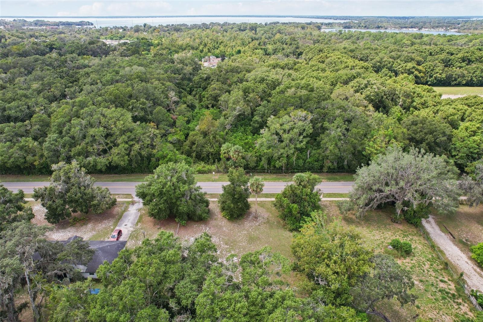 847 Palmetto St Property Photo 13