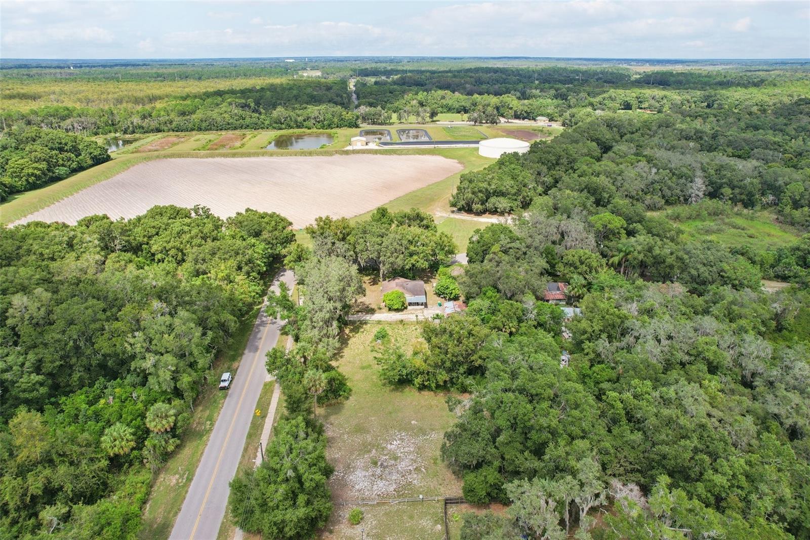 847 Palmetto St Property Photo 14