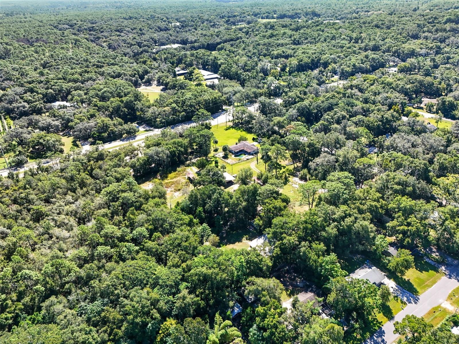 51 E Ponkan Rd Property Photo 9