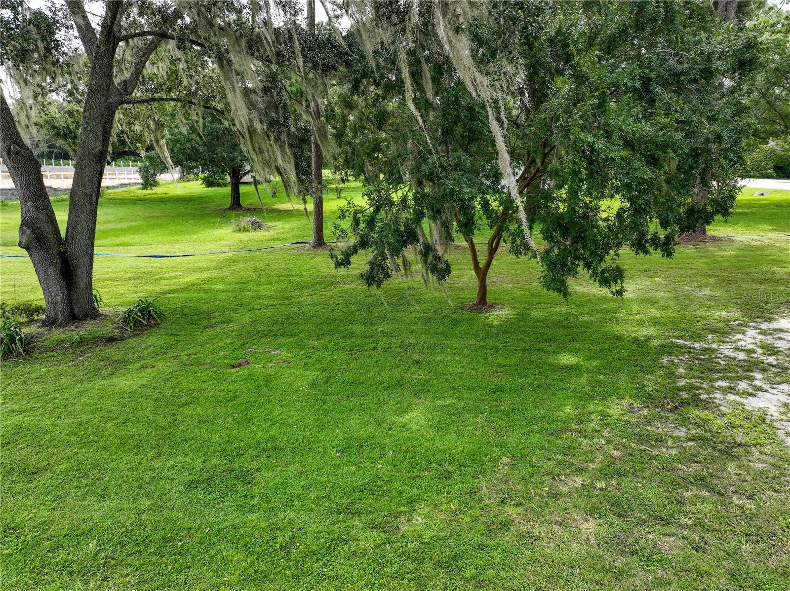 3636 E C-466 Property Photo 6