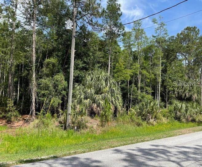 THUNDERHEAD STREET Property Photo 1