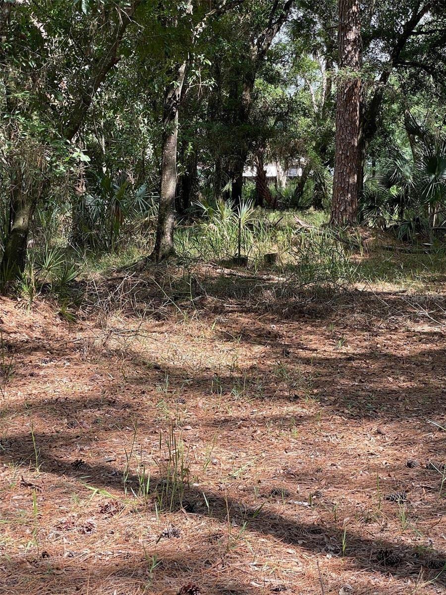 Thunderhead Street Property Photo 2