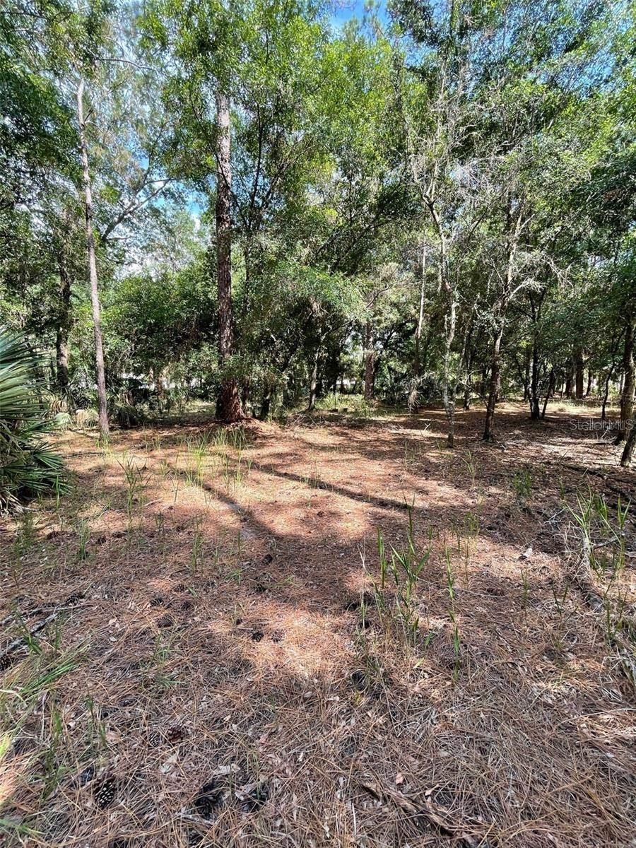 Thunderhead Street Property Photo 3