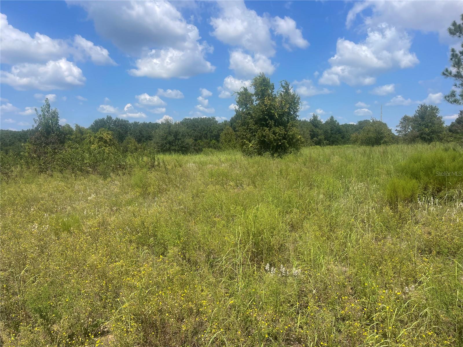 Tbd Keene Rd Property Photo 3