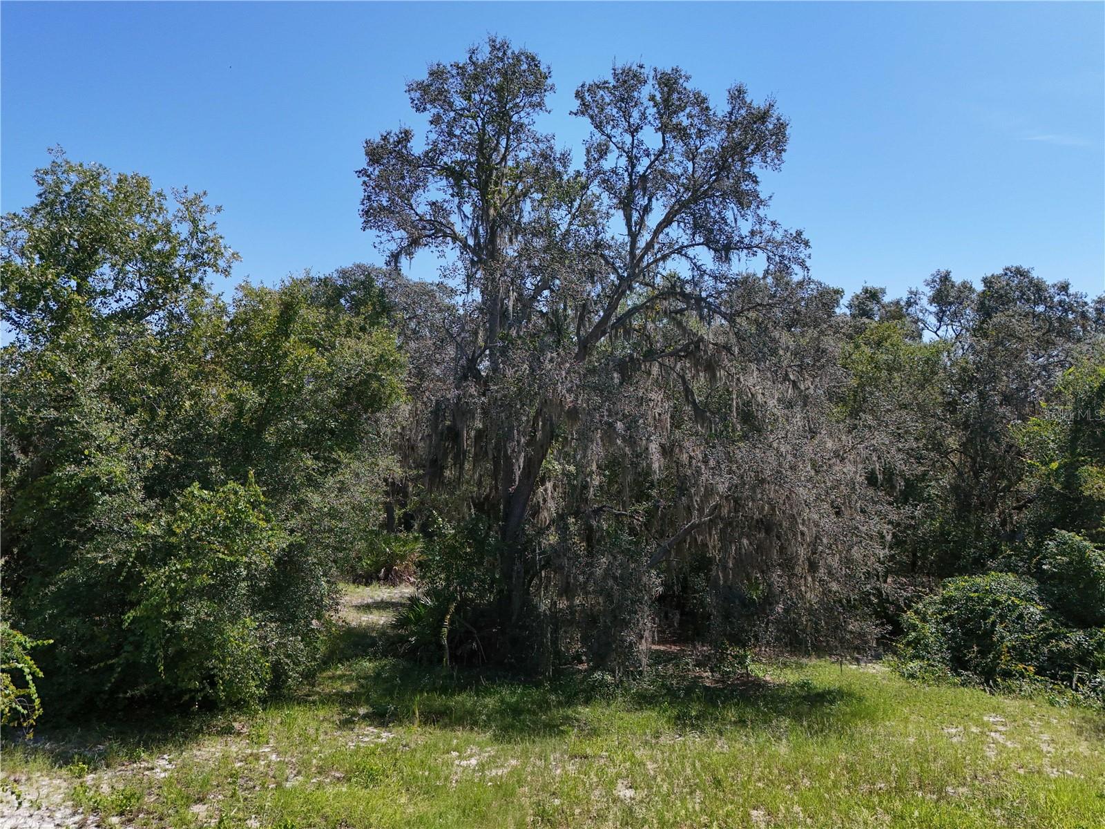 3134 Bright Lake Cir Property Photo 16