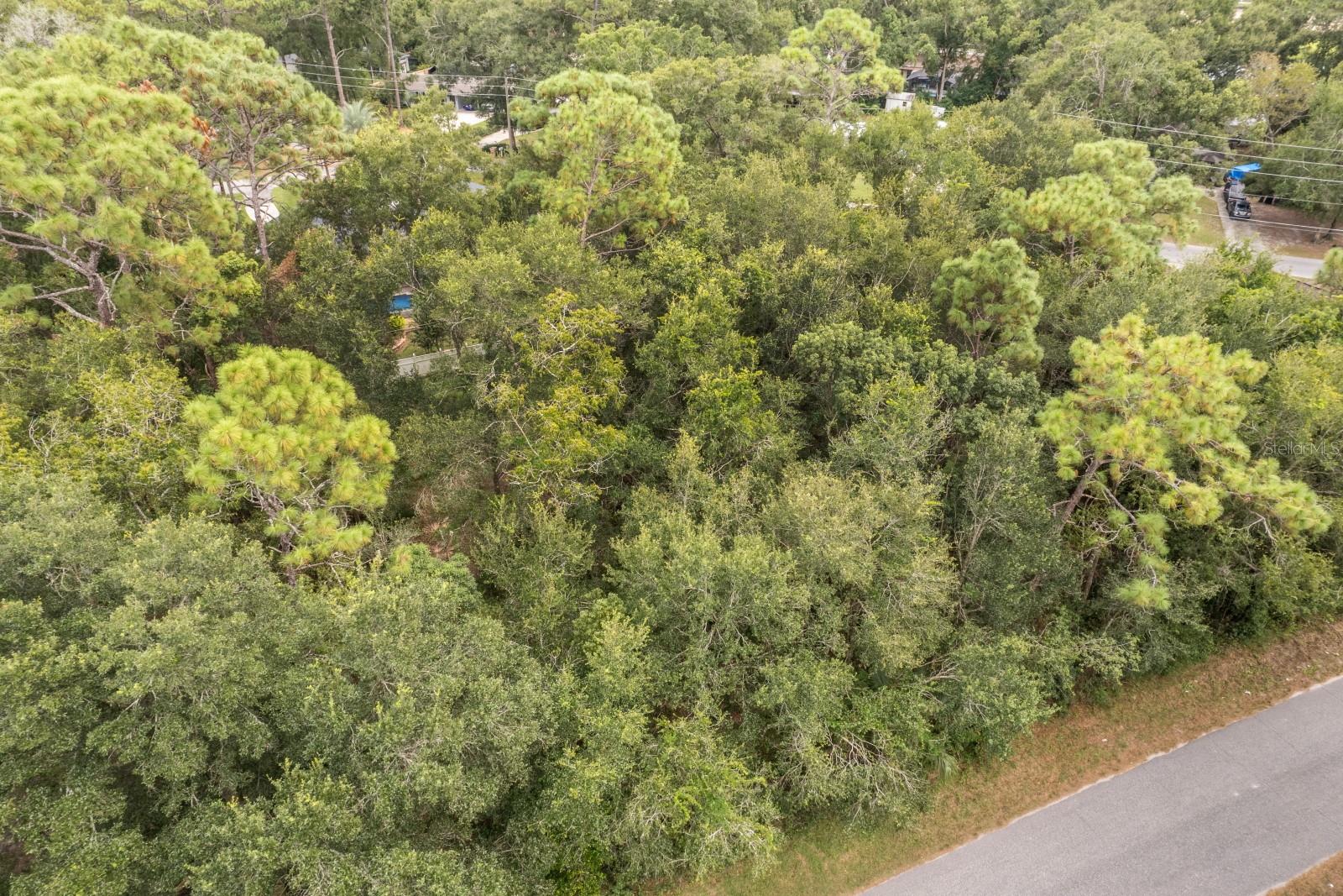 Interlachen Dr Property Photo 4