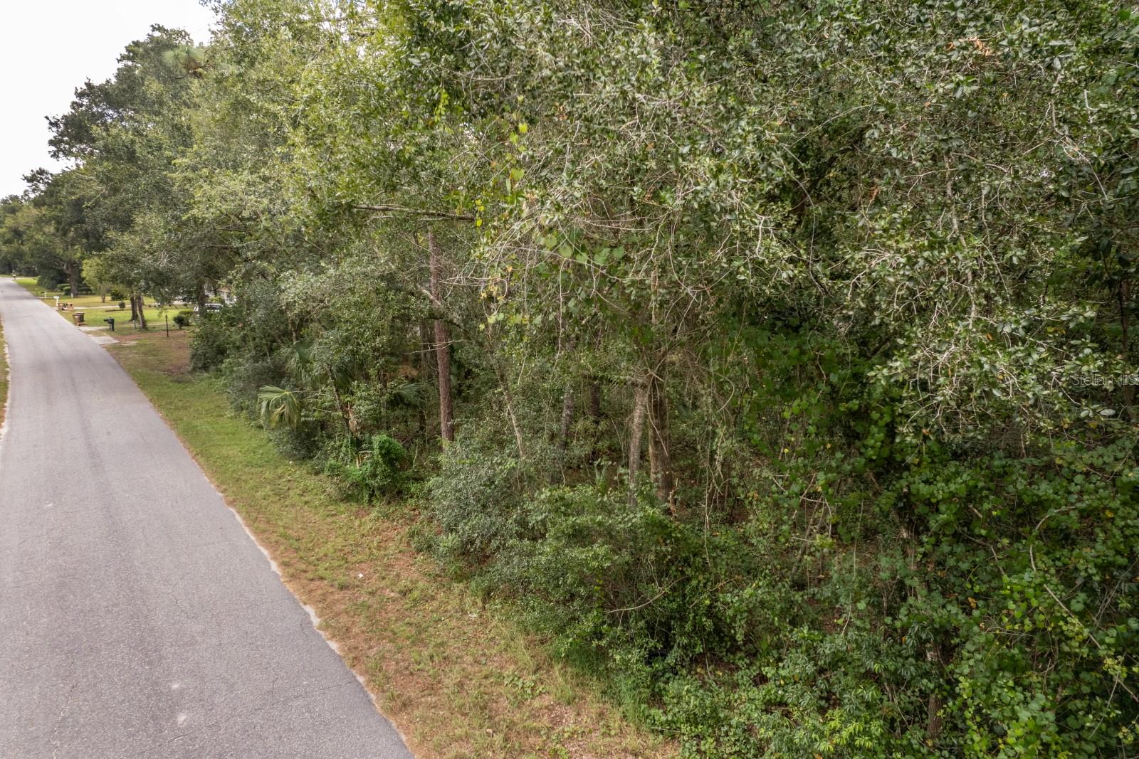 Interlachen Dr Property Photo 14