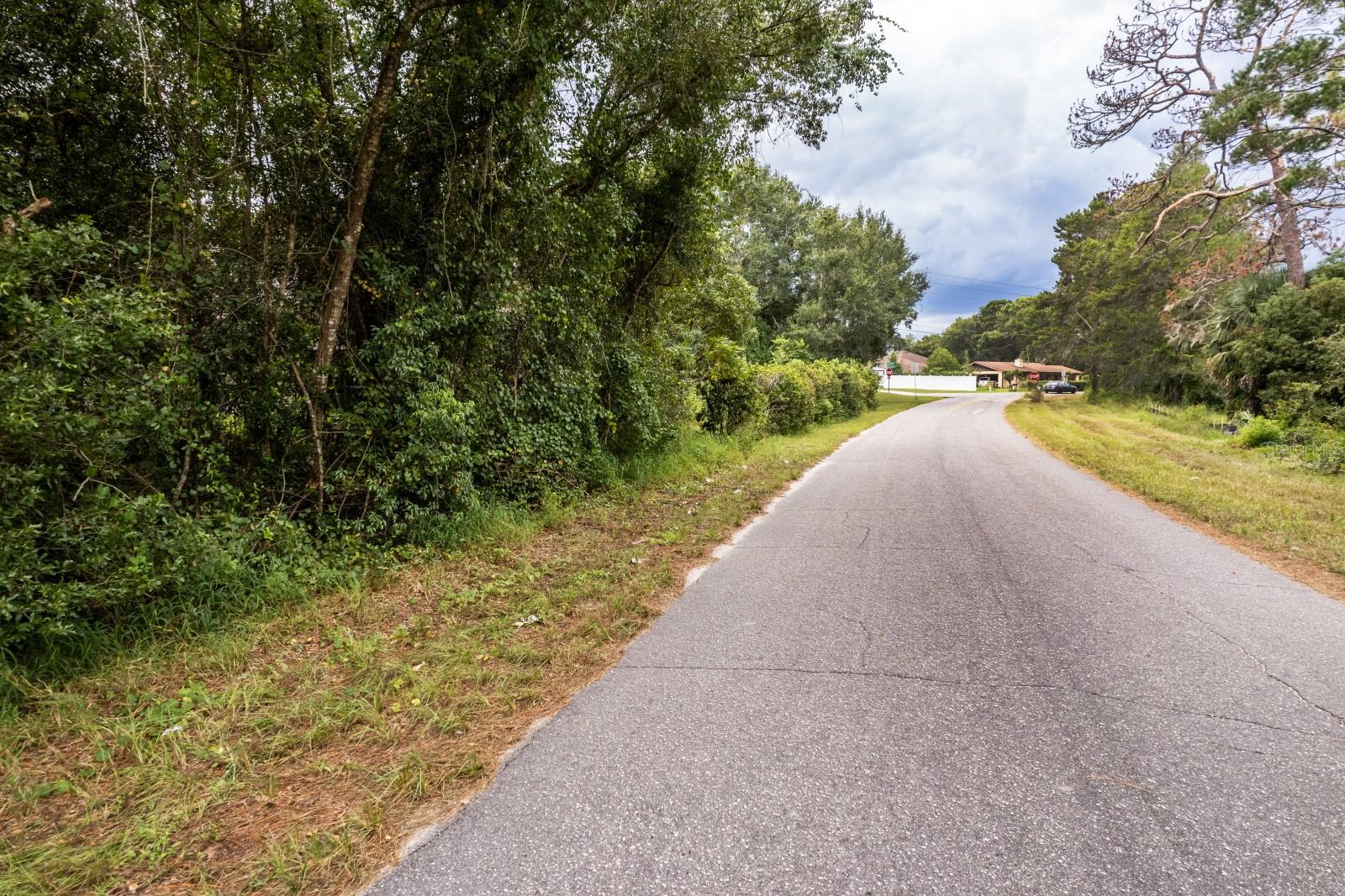 Interlachen Dr Property Photo 15